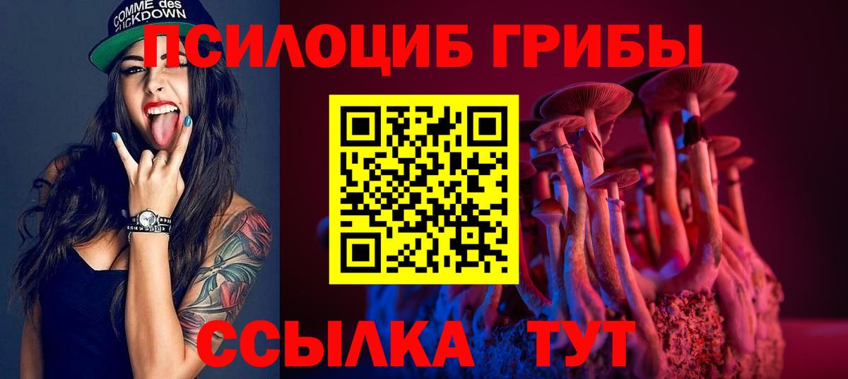 Галлюциногенные грибы прущие грибы  Вход с VPN  Богородицк 